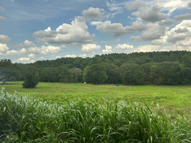 Picture4